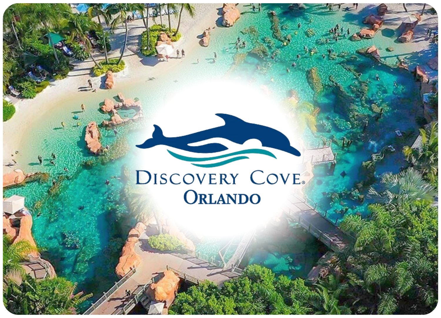 Untitled design (61)-1